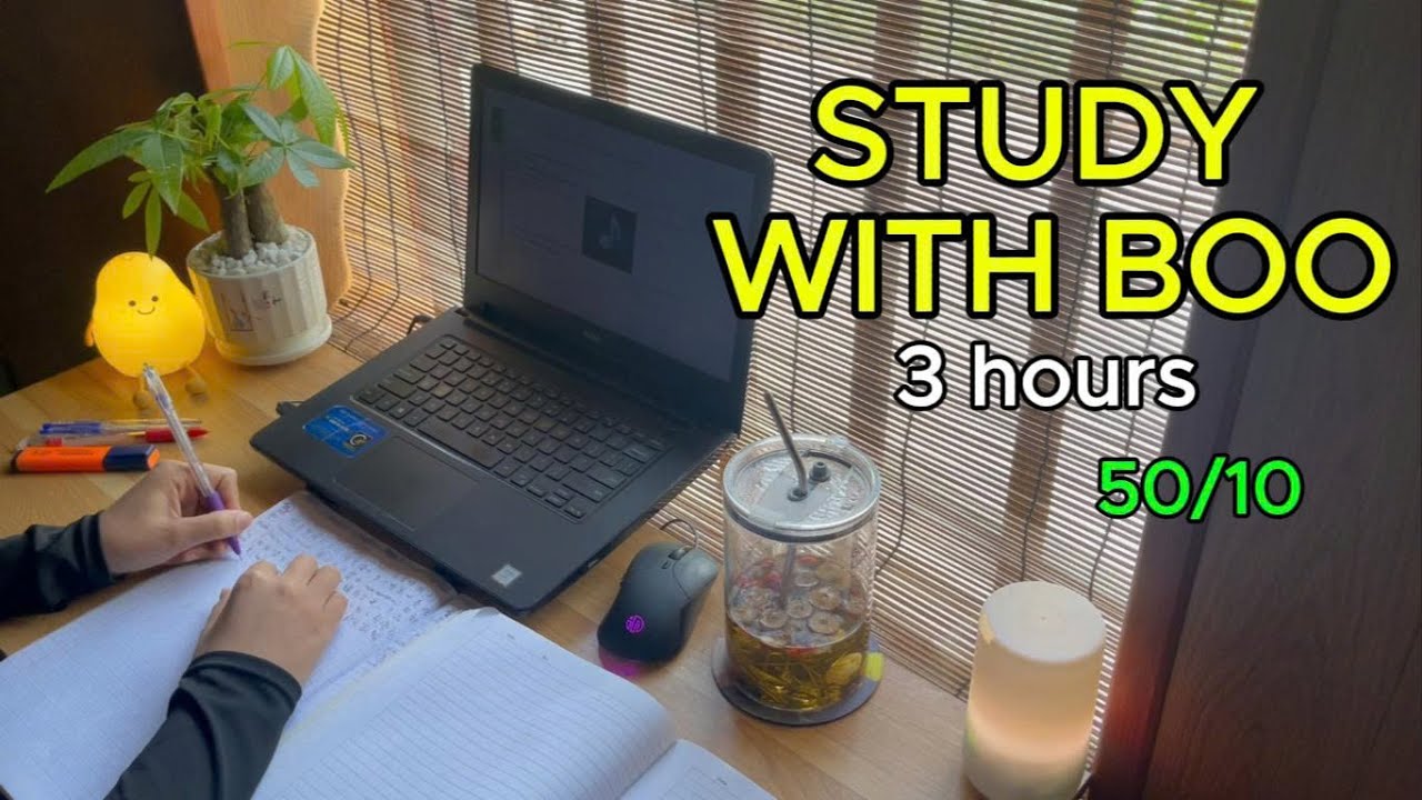 #116: ☀️ 3 HOURS STUDY WITH ME 🔥 | Sunny Day | Pomodoro 50-10 | Real Time | Fire Crackling Sound