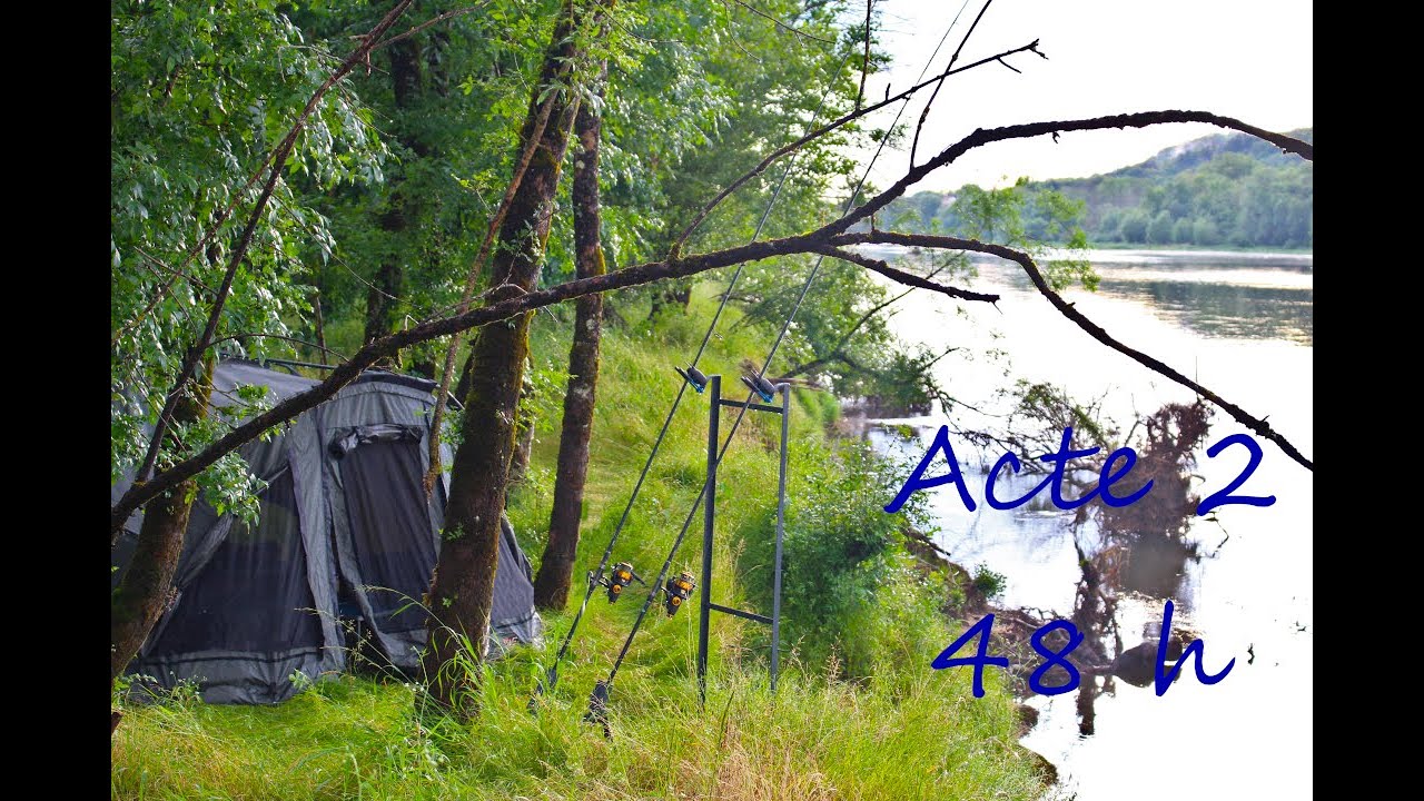 Carpes de Loire en milieu périlleux !! Acte 2 sur 48 h...Départs en direct !...