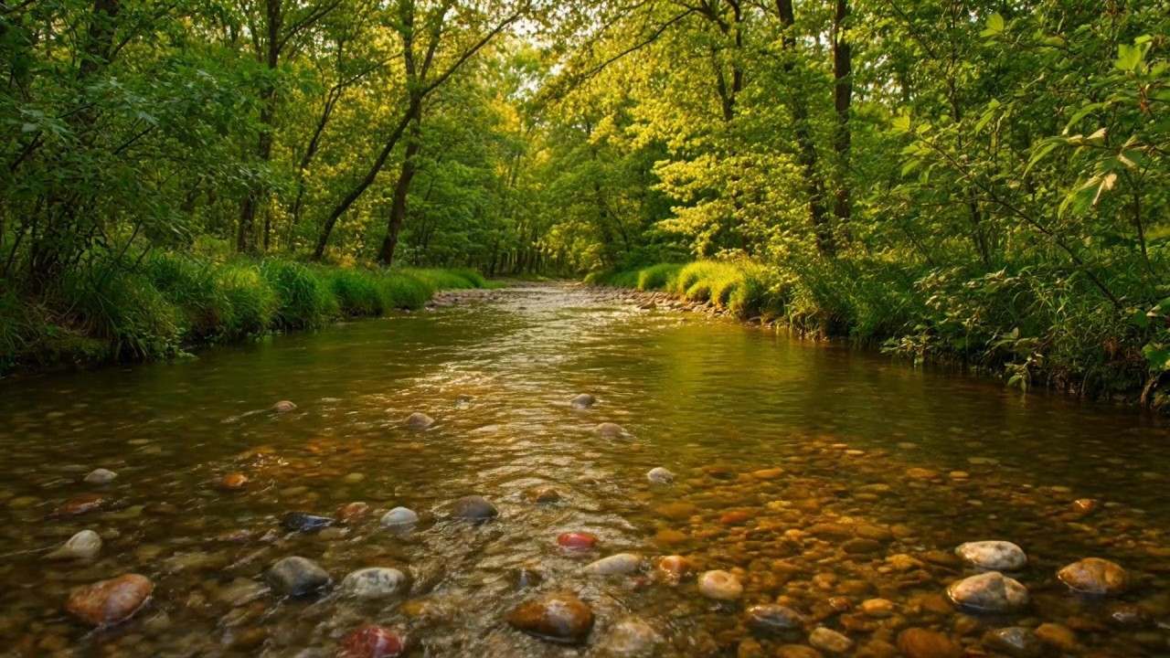 Calming Ambient Sounds to Improve Concentration and Clarity