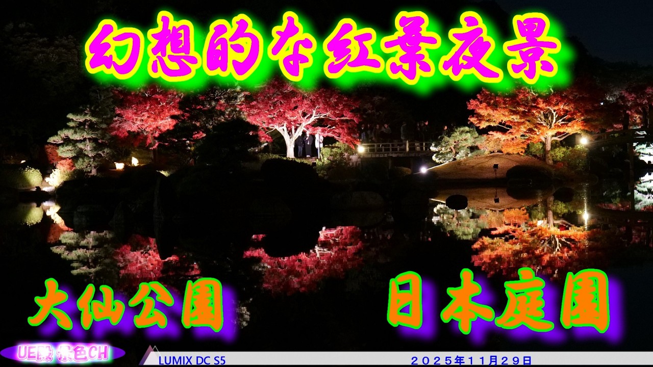 【4K静止画】大仙公園 日本庭園の紅葉夜景｜静止画で楽しむ秋の幻想風景（2025.11.29）