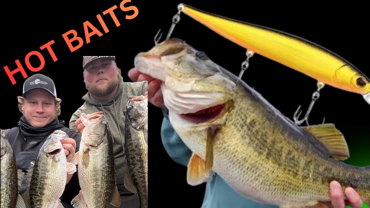 HOT BAITS Right Now 🔥 What’s ACTUALLY Working
