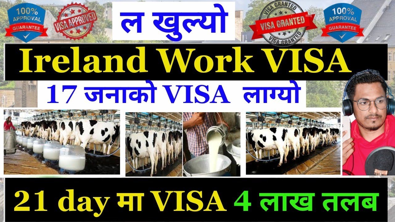 ireland Work Visa For Nepali | How To Apply Ireland Work Visa From Nepal | Ireland Working Visa 2025