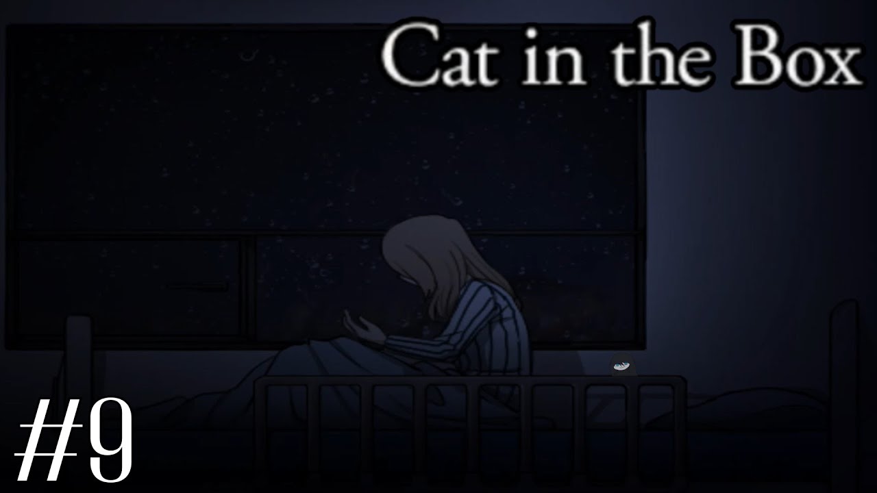 Cat in the Box Part9 แมวจะเป็นหรือตายขึ้นอยู่กับการเปิดกล่อง