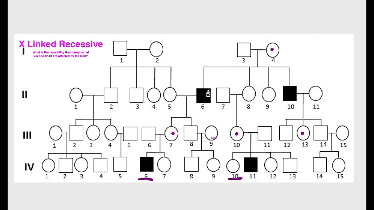 Calculating Probability in a Pedigrees