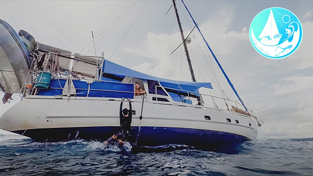 Spearing in hundreds of meters & Planting trees in a JUNGLE  Episode 247 (Sailing Catalpa)