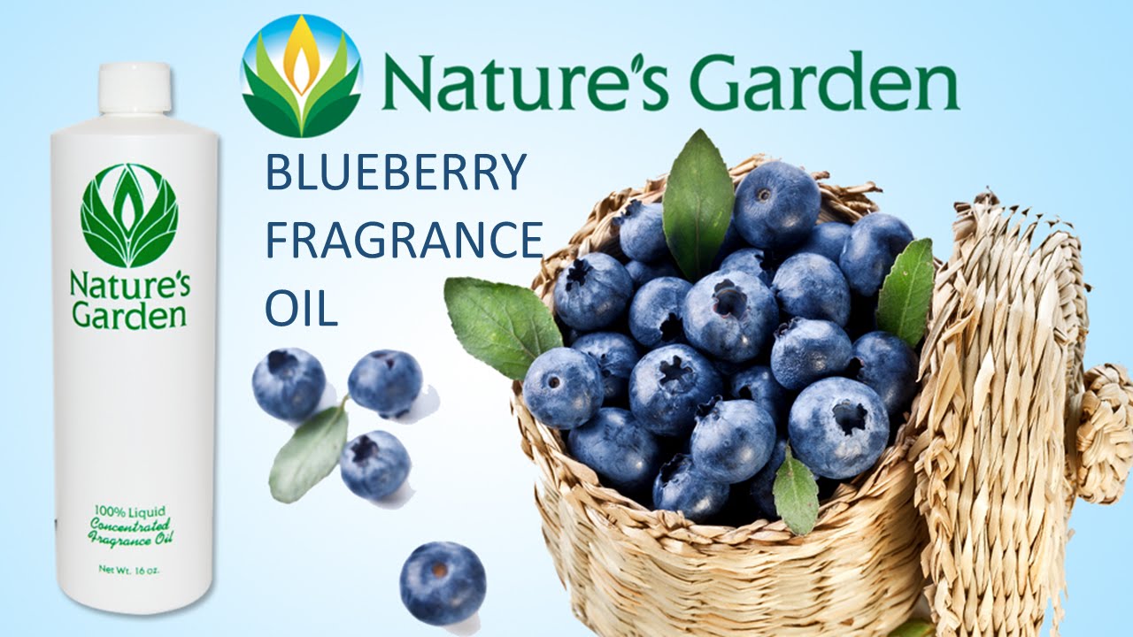 Blueberry Fragrance Oil - Natures Garden