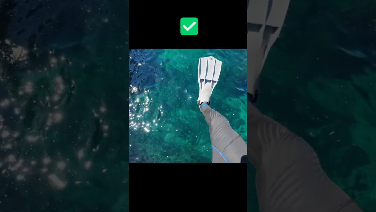 Give it a go #120fps  #underwatervideo #scubadiving #snorkeling