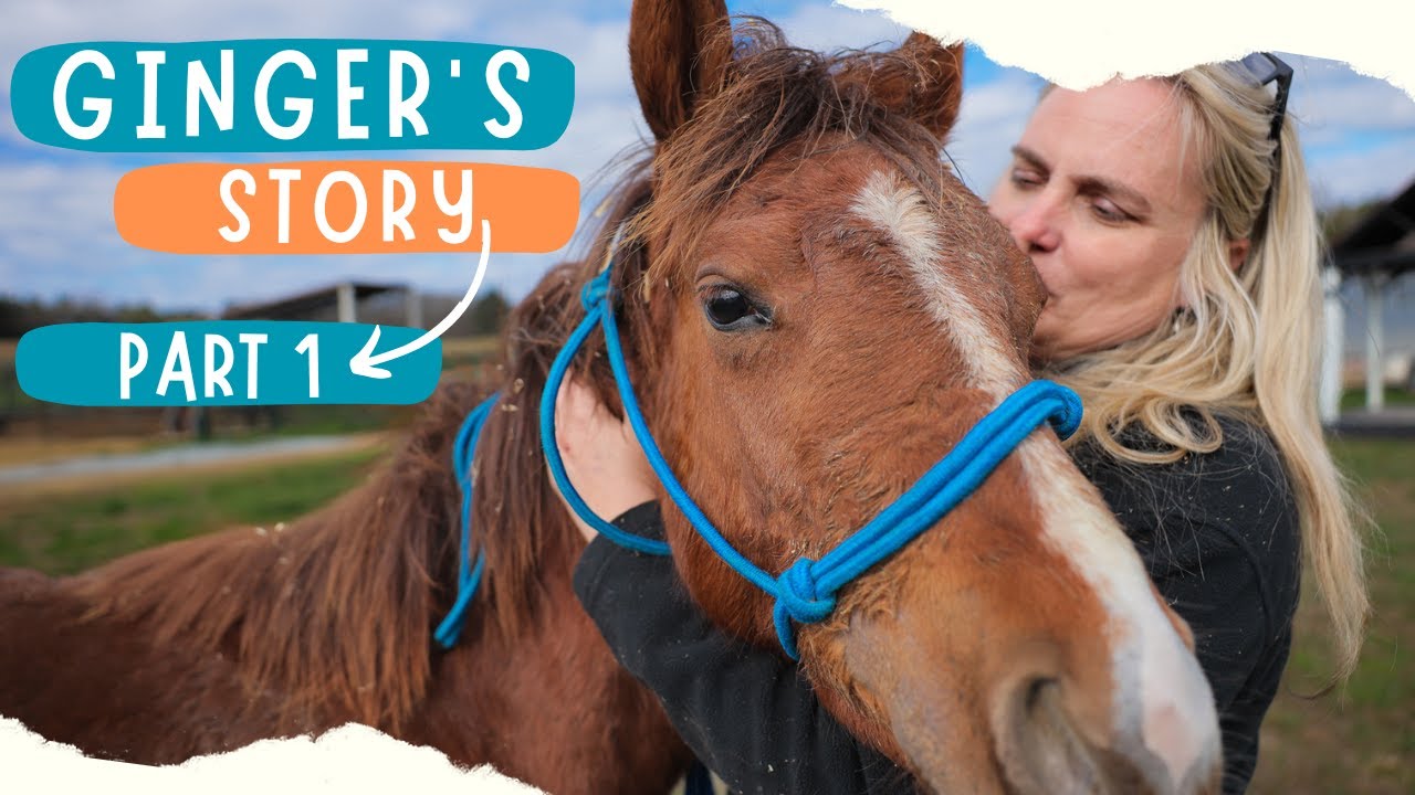 Ginger's Story Part 1