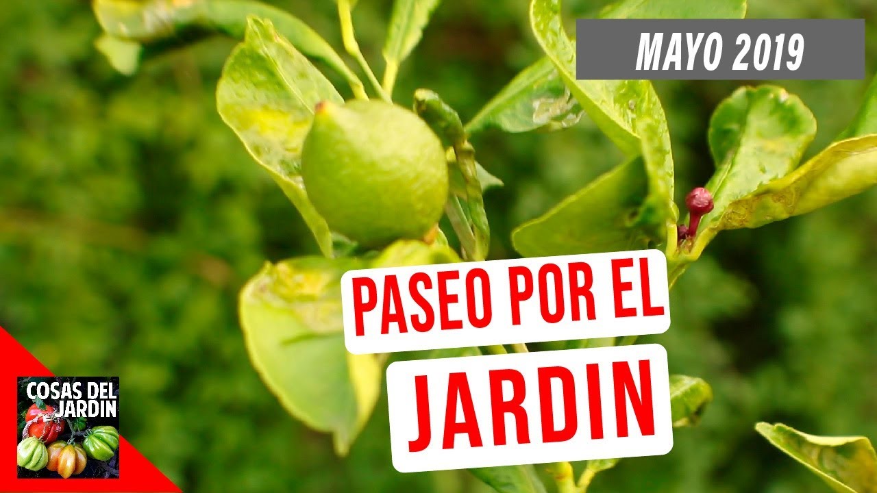 PASEO POR EL JARDIN Y UN TRUCO QUE TE VA A ENCANTAR | MAYO 2019