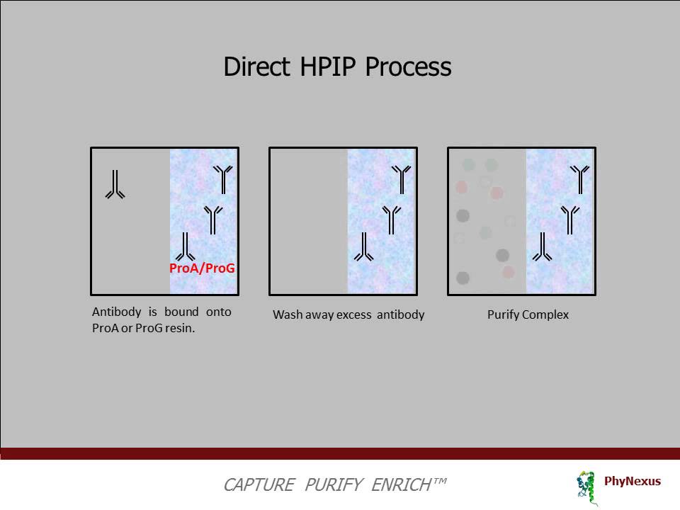PhyNexus High Performance Immunoprecipitation