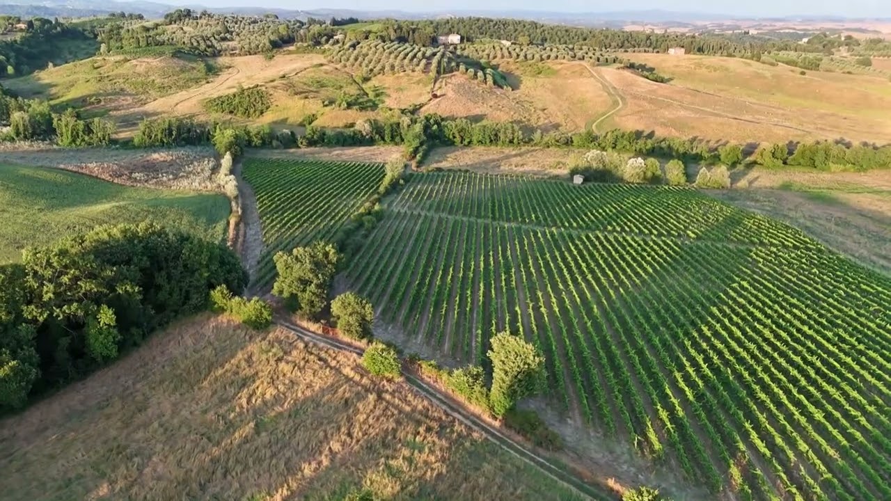 THE MAGIC of MONTECHIARO  ESTATE