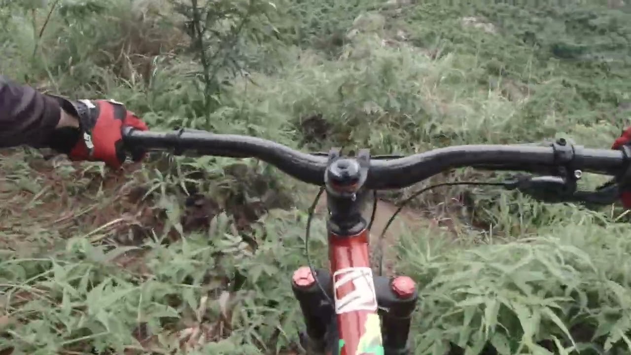 Busse lane || Downhill #mtbDH