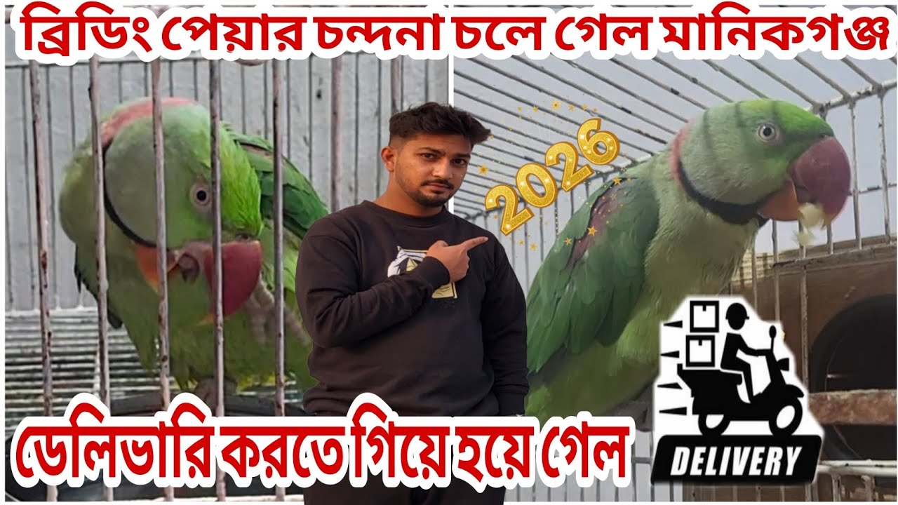 What happened to me while delivering a parrot in Manikganj? Birds Delivery 