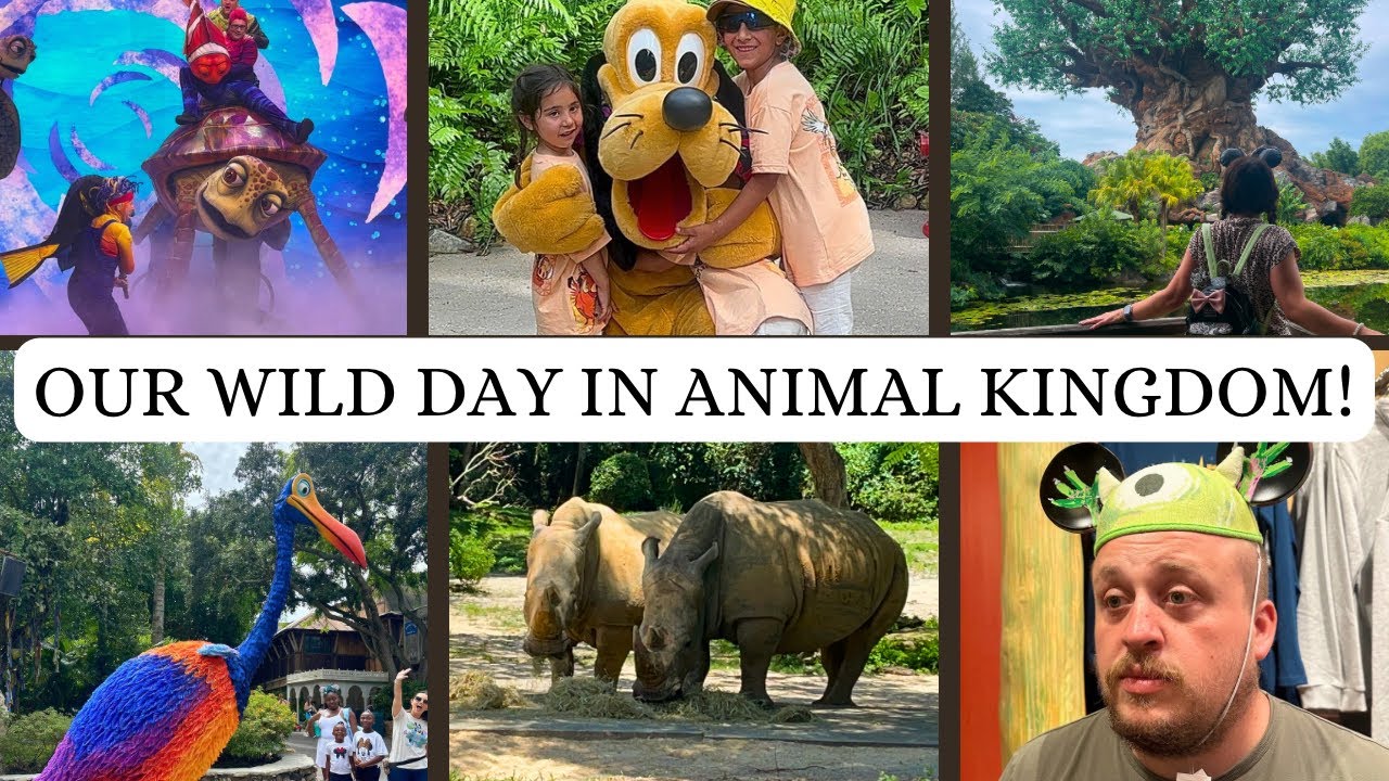 Our Wild Day In Animal Kingdom! We Are Back!