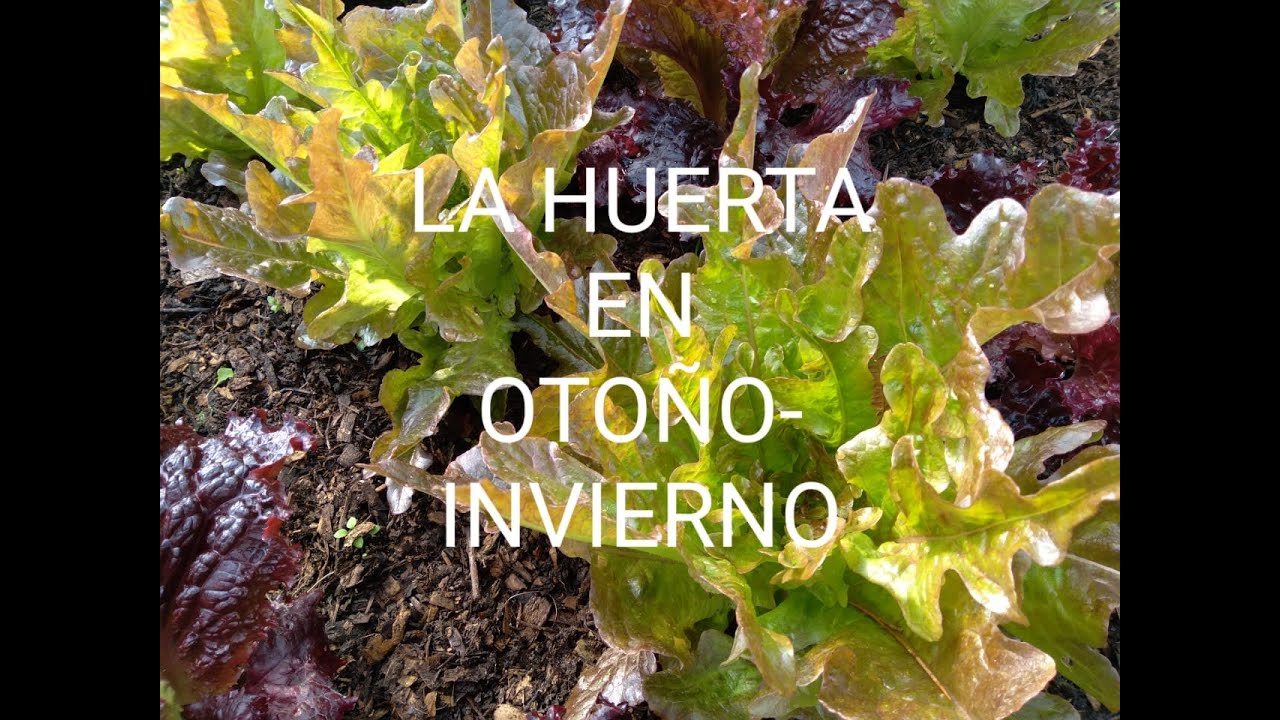 RECORRIDA POR LA HUERTA DE OTOÑO  -  INVIERNO
