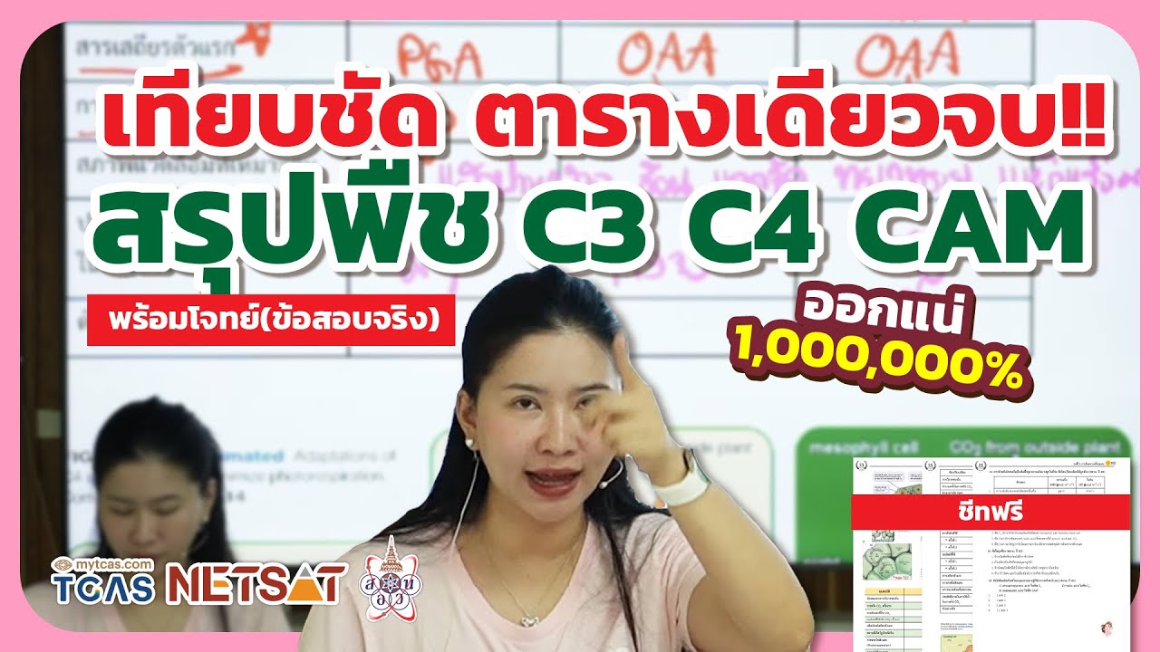 C3 C4 CAM สรุปชัดในตารางเดียว+ ชีทฟรี ⎮ชีวะครูฝ้าย Easybio
