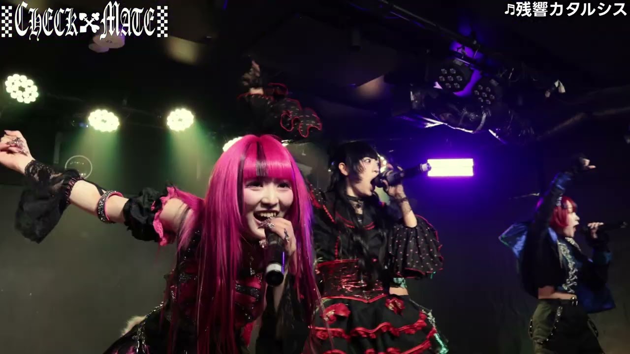 CHECKMATE 2026.3.9 五反田G3 #アイドル #ライブ #チェックメイト　#ちぇくめ #checkmate