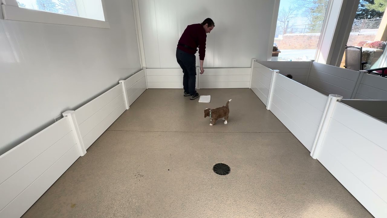 Cooper Training Session 02/24