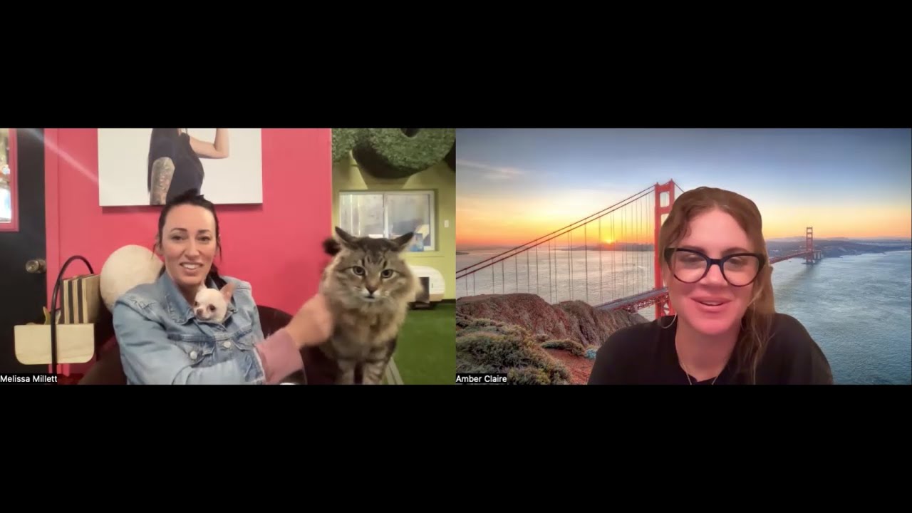 Melissa Millett Talks Training Tonic The Cat For Caught Stealing