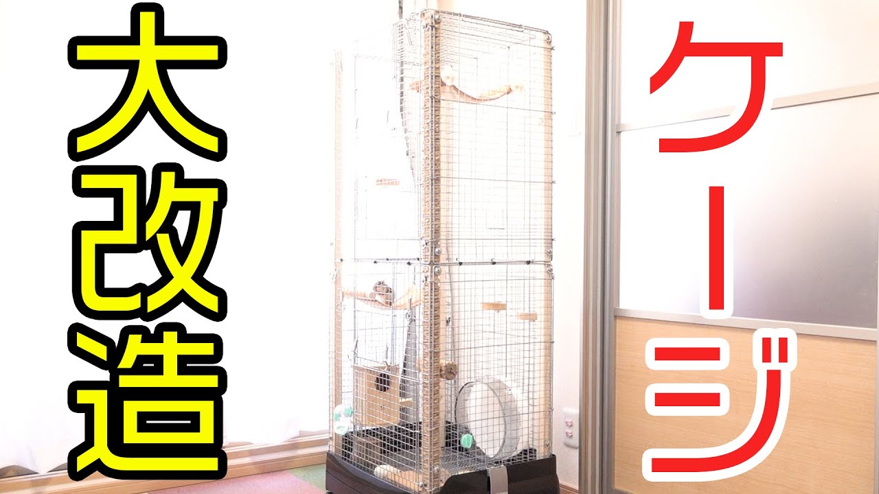 【増築】シマリスのケージの高さを2倍に大改造するぞ！