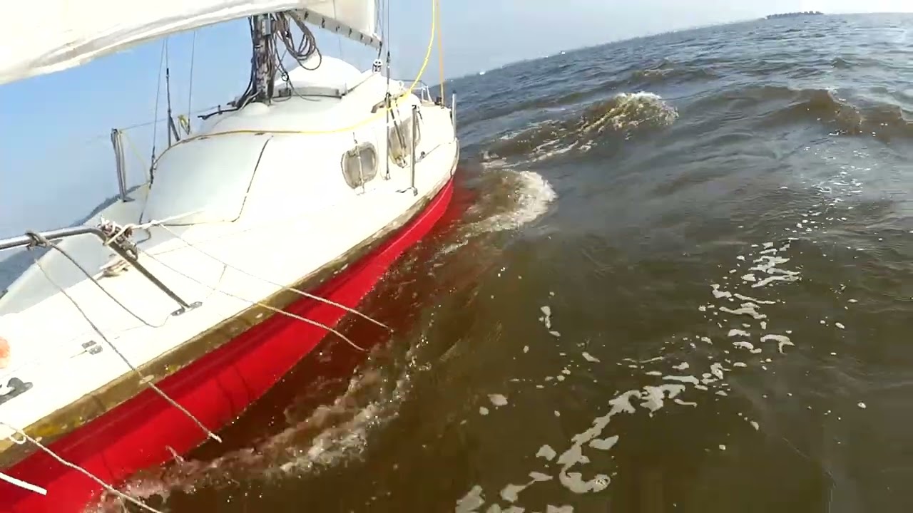 This time only sailing Pando