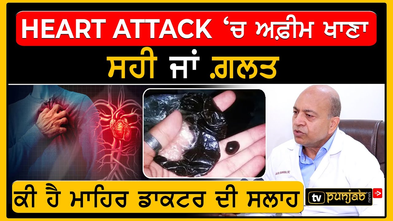 Heart Attack 'ਚ ਅਫ਼ੀਮ ਖਾਣਾ ਸਹੀ ਜਾਂ ਗ਼ਲਤ, ਕੀ ਹੈ ਮਾਹਿਰ Doctor ਦੀ ਸਲਾਹ