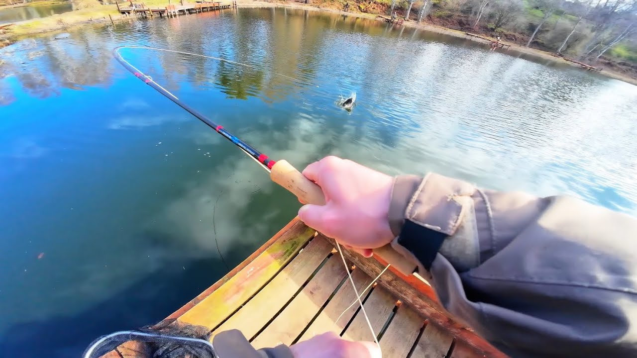 HUGE trout taking under the bung!