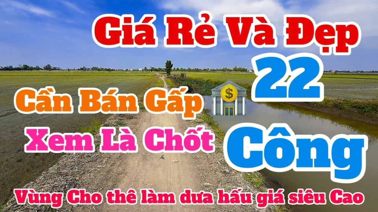 (Số 874) Giá👉 Rẻ Lám Cô Chú Oi 📍Bán22 Công Liên Vụ💥 Đất Siêu Đẹp-Cho Thuê Giá Siêu Cao 