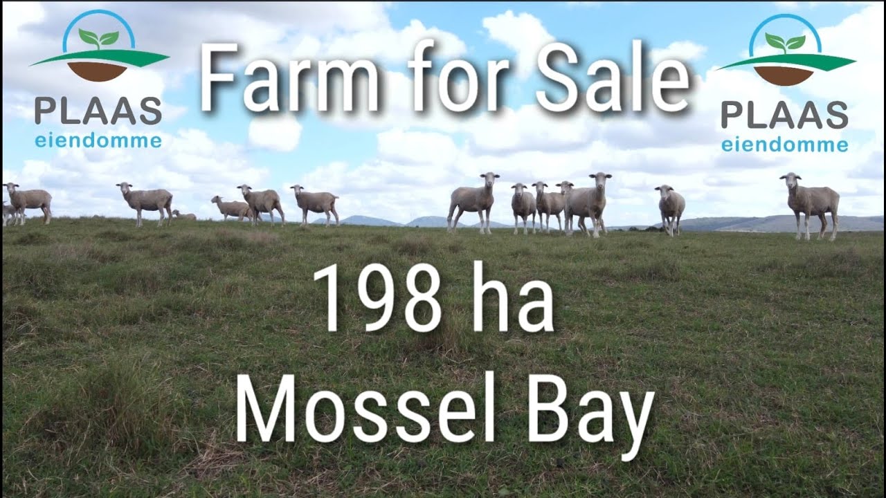 Gouritsrivier Plaas te Koop / Farm For Sale- Gouritz River (Mosselbaai/Mossel Bay/Vleesbaai/Gourits)