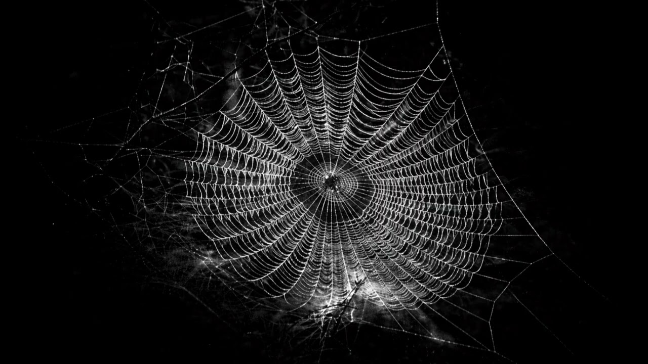 Spider’s web (Meleodic Techno+Psy rock)