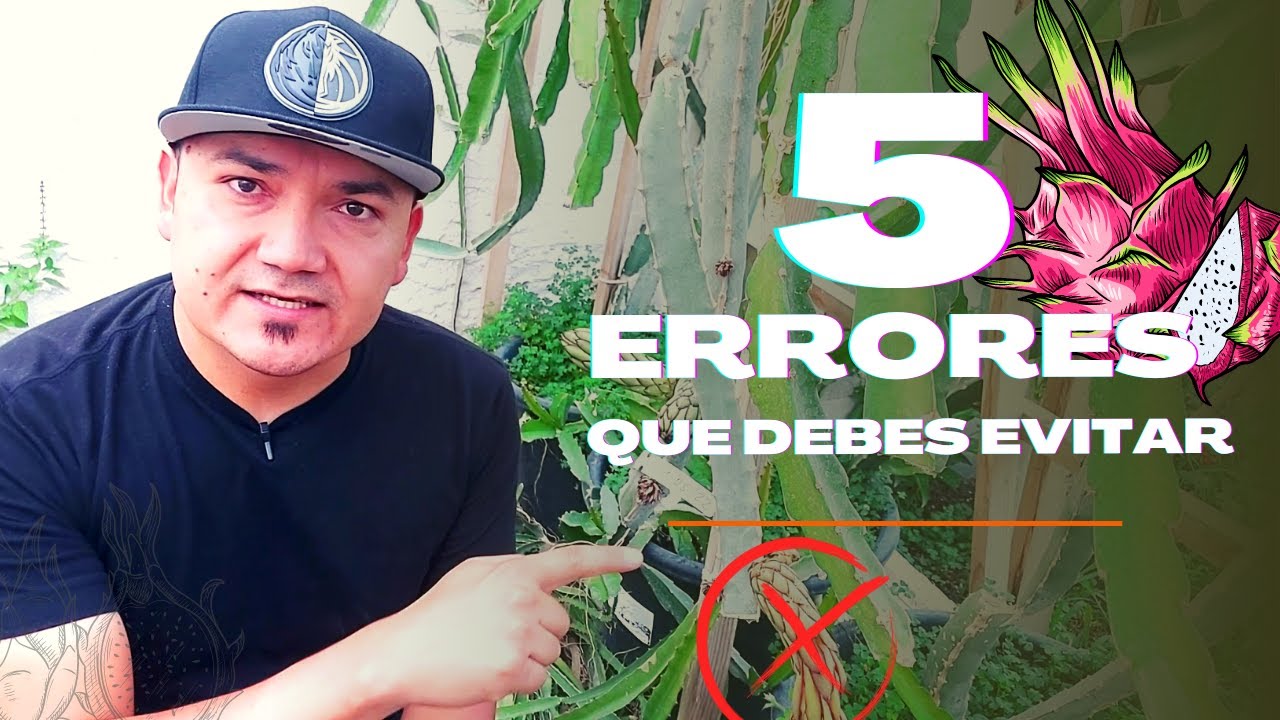 5 ERRORES que debes EVITAR al plantar PITAHAYA EN MACETA