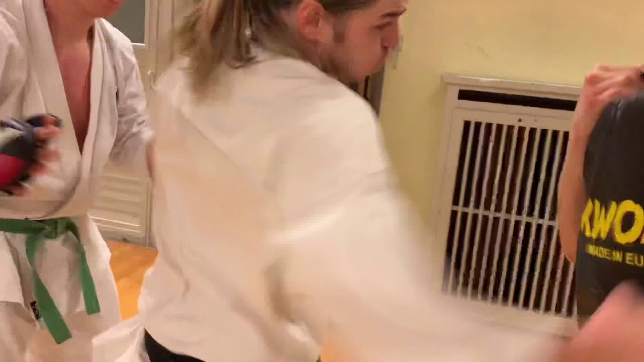 Trainingsauschnitt im Seishin Dojo