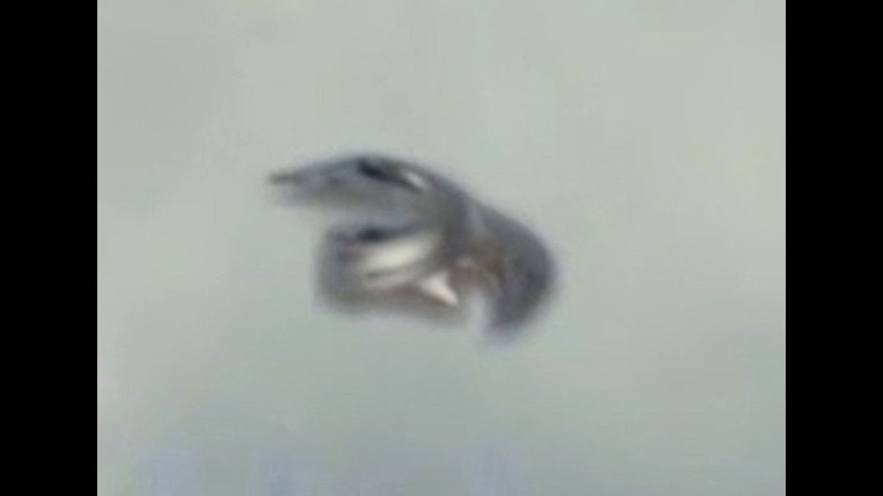 Best UFO Sightings July 2016 Week 4
