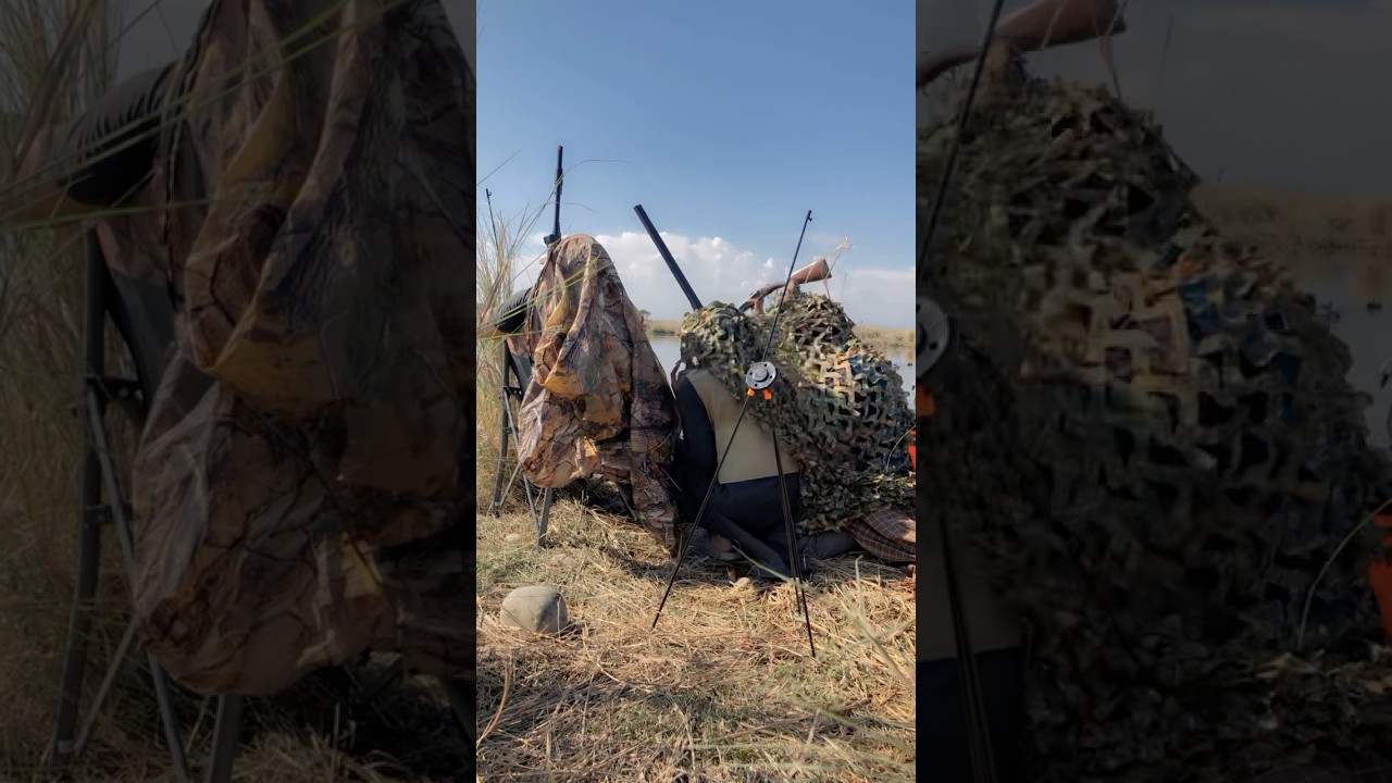 Duck 🦆 hunting 😂 
