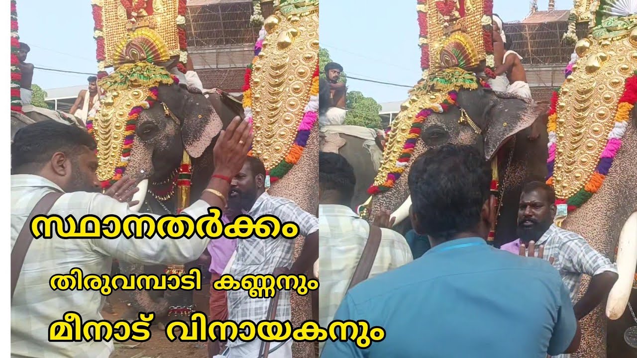 സ്ഥാനത്തർക്കം!!!!!!! വിനായകന്റെ സ്ഥാനത്  കണ്ണൻ ആനയെ നിർത്തി / meenad vinayakan / thiruvambadi കണ്ണൻ