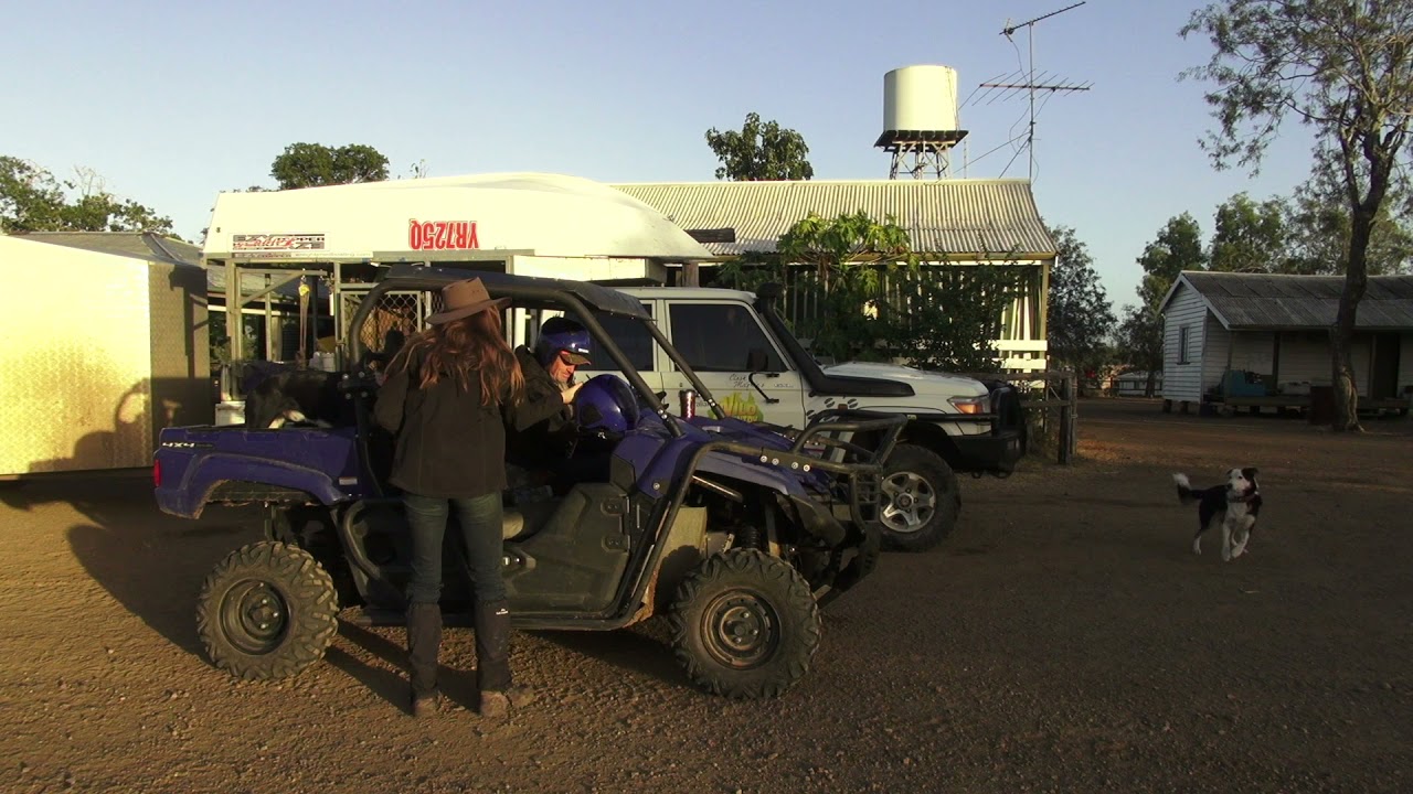 Wild Dog trapping in Australia with Clark McGhie
