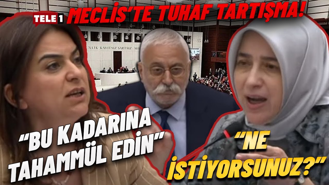 AKP'li Vekil DEM Partili Vekil'e teşekkür etti, Meclis karıştı!