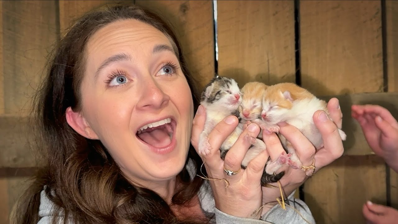 We Found BABY KITTENS In Our Barn!!