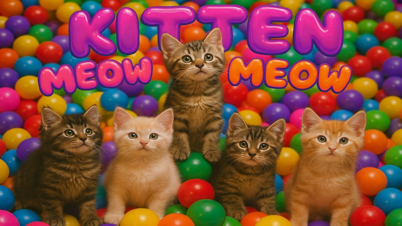 Котенок мяу -мяу - милые танцующие котята в красочном саду воздушных шаров 🌸🎈