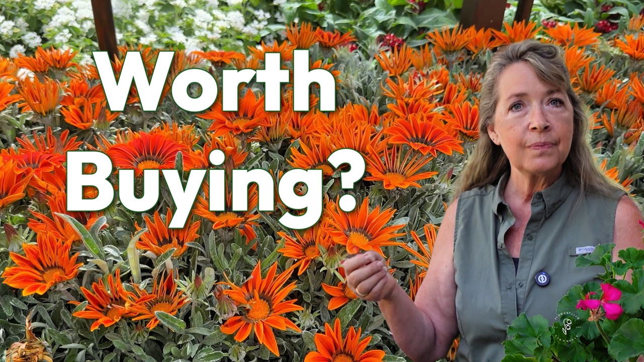 Lowe's Garden Center Perennials, Annuals and What I Found July 2026
