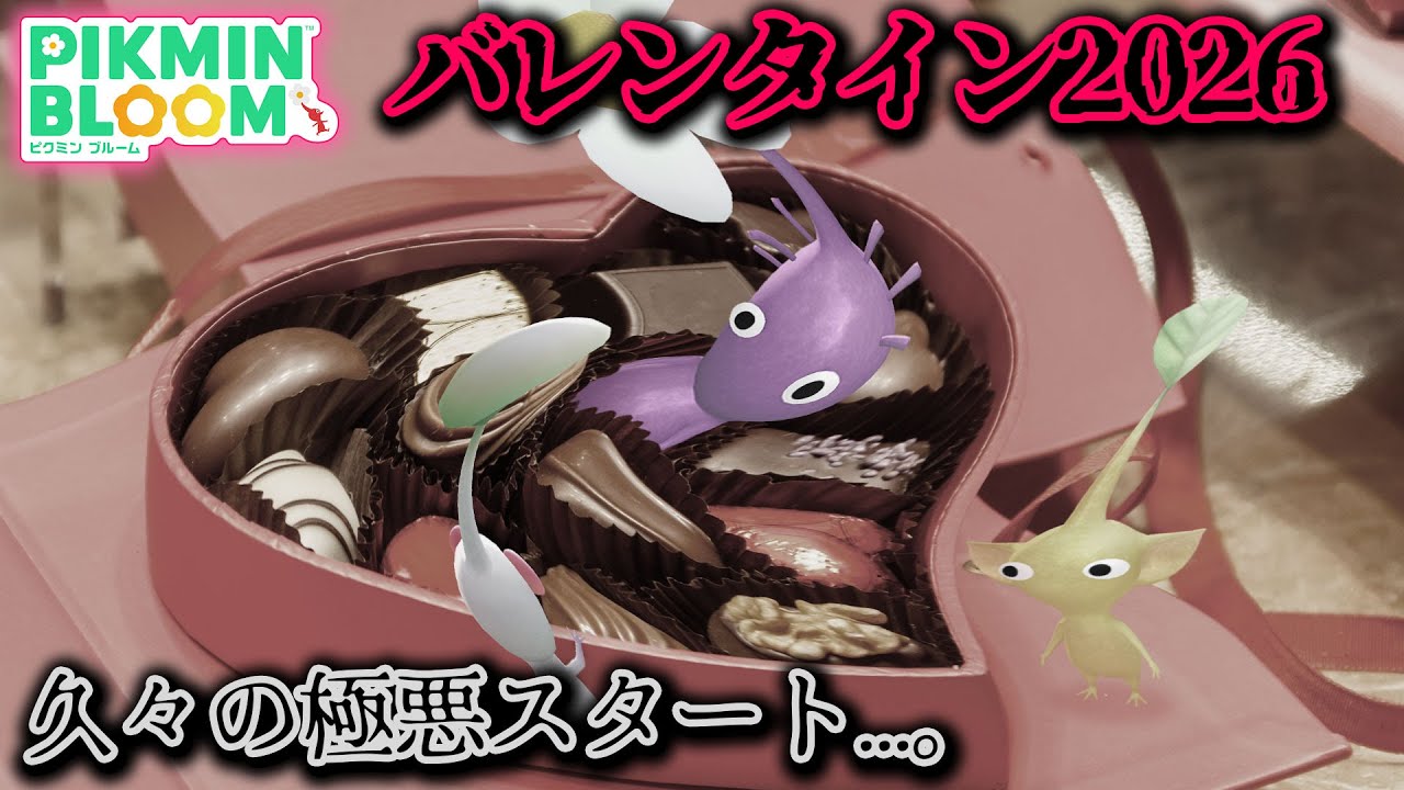 【ピクミンブルーム】バレンタイン2026！久々の極悪スタート...。【Pikmin Bloom】