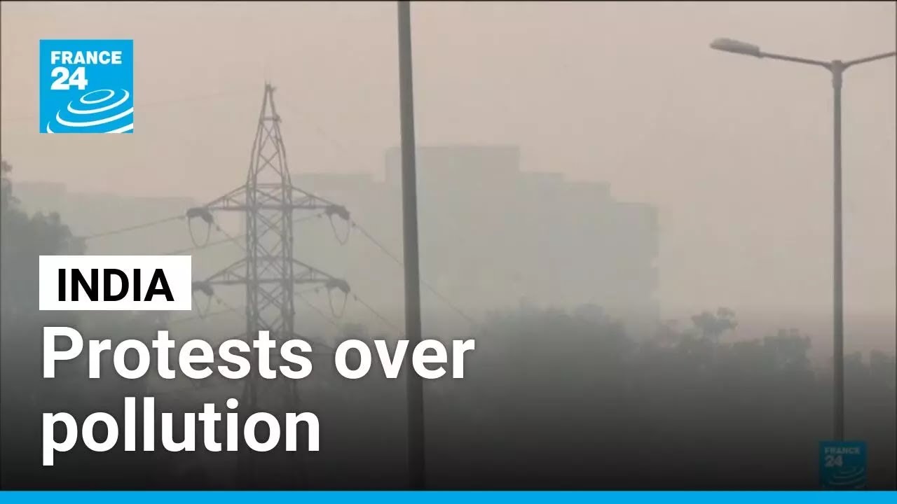 India sees rare protest over pollution: Dozens arrested in New Dehli &bull; FRANCE 24 English