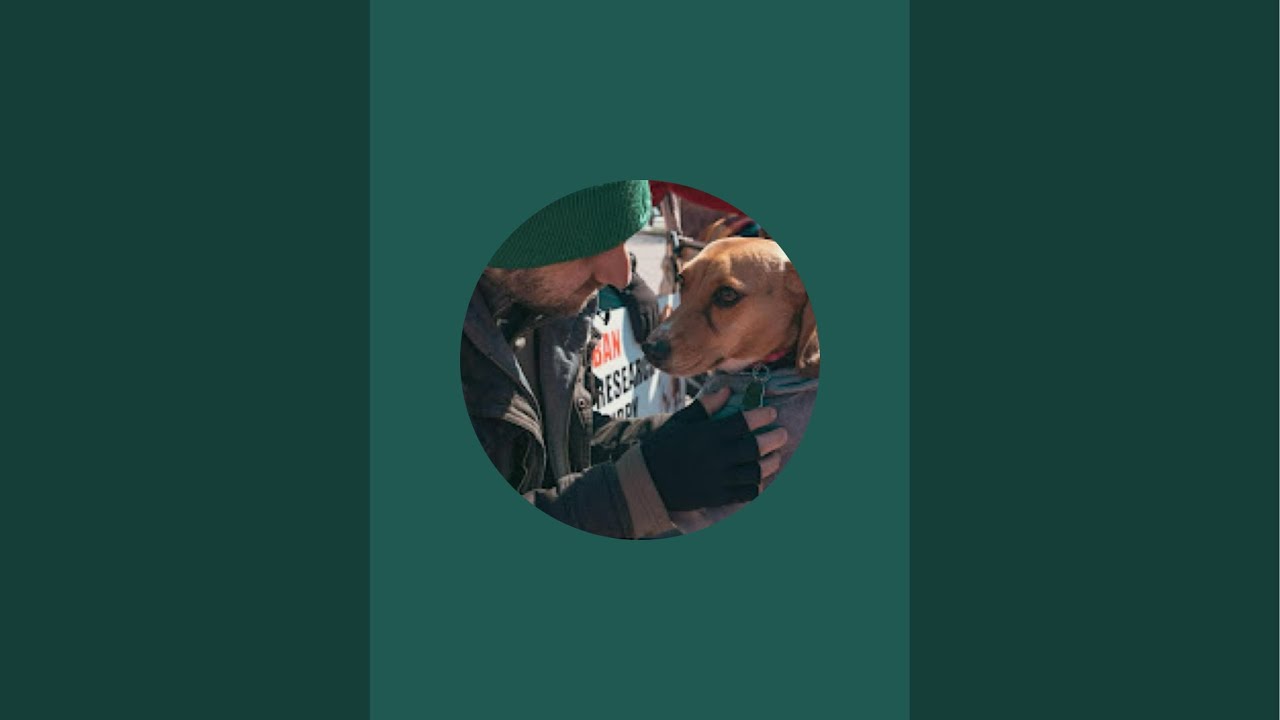 LIVE BEAGLE RESCUE, police called