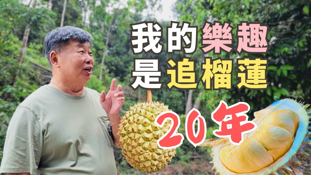 【大馬榴槤寶藏】被低估的大芭榴槤最多驚喜 | 20年走遍原住民深山只為一口好味道！- Durian Bukit Orang Asli