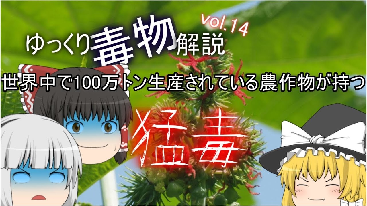 ゆっくり毒物vol.14　～リシン～