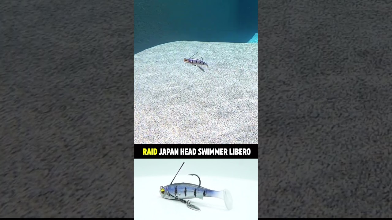 Small Compact Bass Fishing Underspin: Raid Japan Head Swimmer Libero #shorts