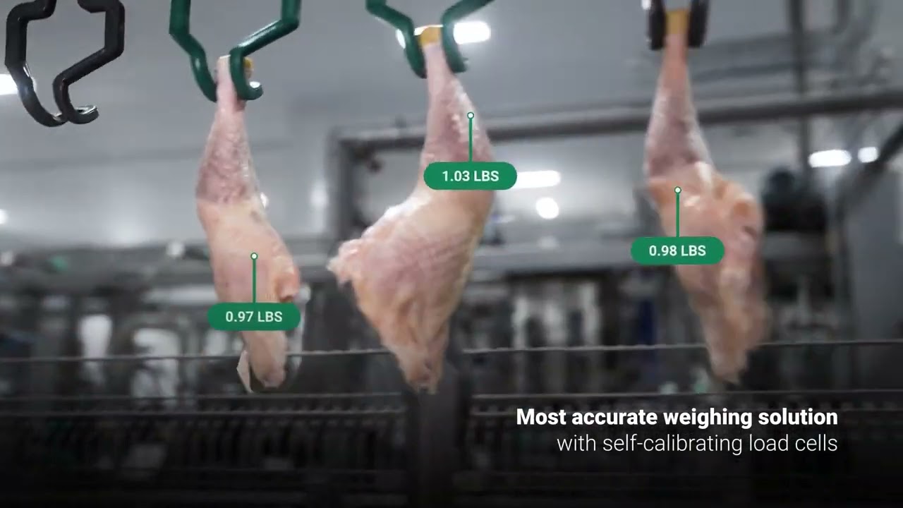 Make the most out of every bird with Meyn Distribution Manager.