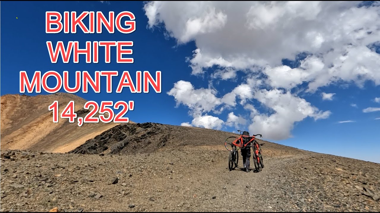 Biking (sort of) White Mountain - 14,252'.