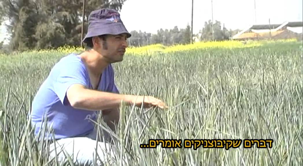 דברים שקיבוצניקים אומרים
