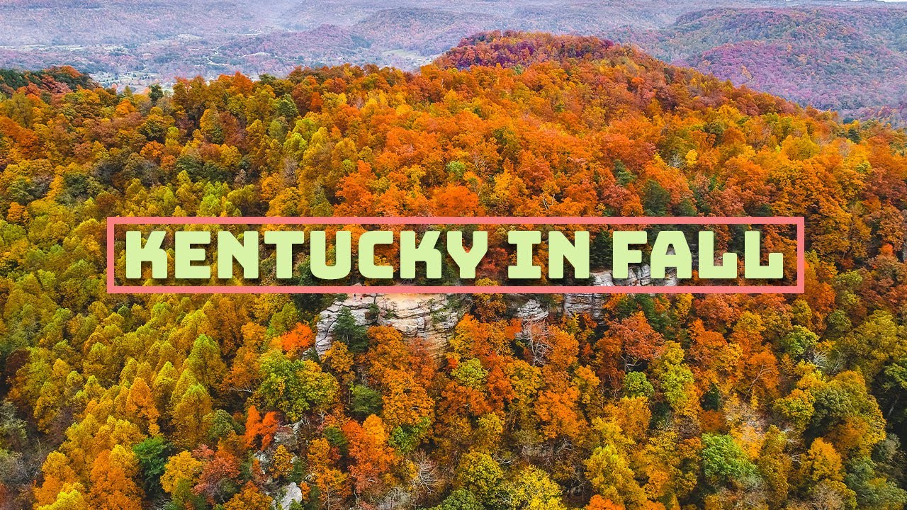 Kentucky in Fall Drone Video